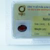vien-da-kiem-dinh-garnet-tu-nhien-46852a