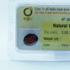 vien-da-kiem-dinh-garnet-tu-nhien-50098a